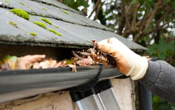 gutter cleaning Cottown