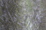 Cottown fibreglass roof work